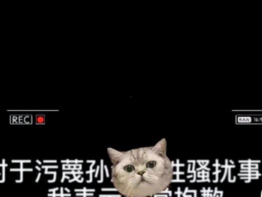 胖猫反转免费吃瓜,免费吃瓜背后的惊喜真相 第2张 胖猫反转免费吃瓜,免费吃瓜背后的惊喜真相 第2张